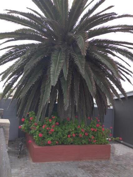 20 On Beach Road Swakopmund Kültér fotó